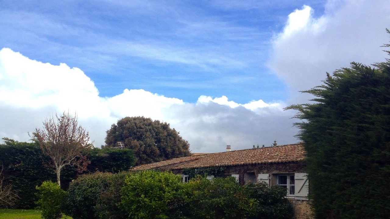 Photo of Outdoor in Noirmoutier-en-l'Ile