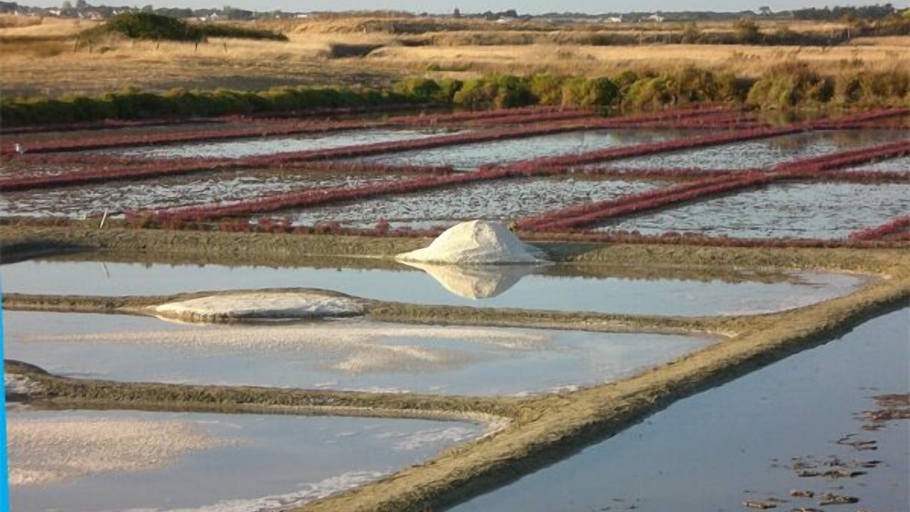 Photo of Others in Noirmoutier-en-l'Ile