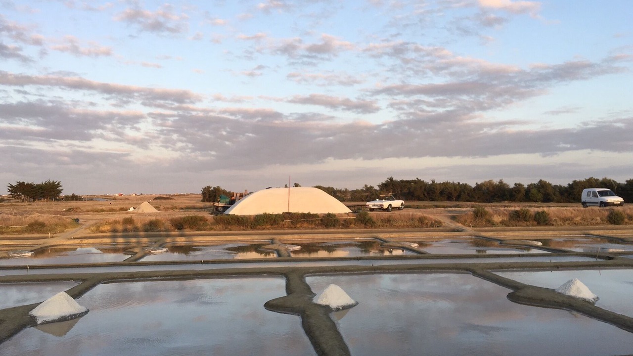 Photo of Outdoor in Noirmoutier-en-l'Ile