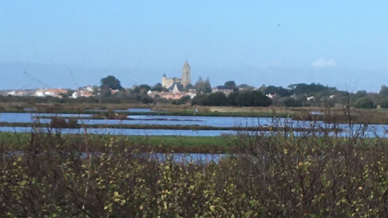 Photo of Outdoor in Noirmoutier-en-l'Ile