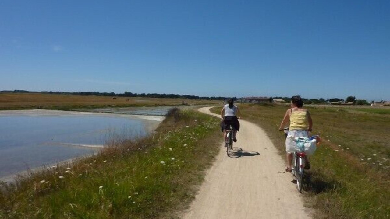 Photo of Others in Noirmoutier-en-l'Ile