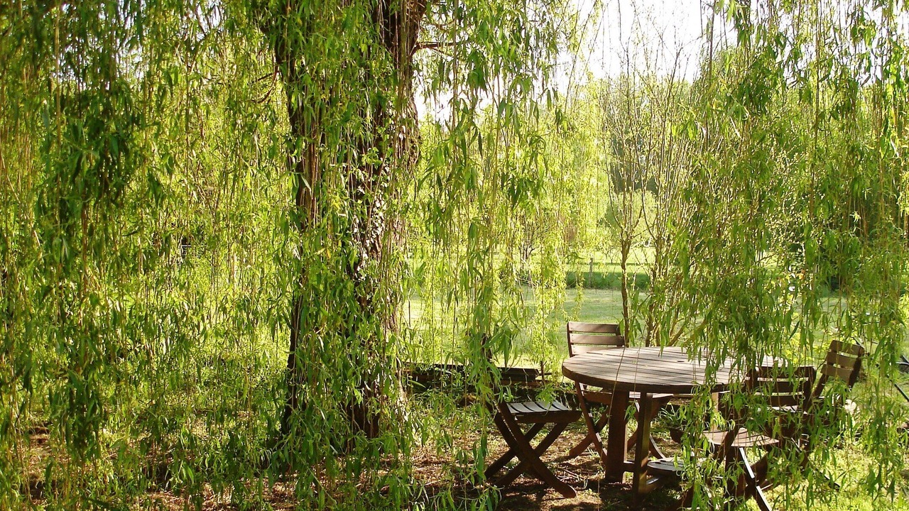 Photo of Outdoor in Chambourg-sur-Indre