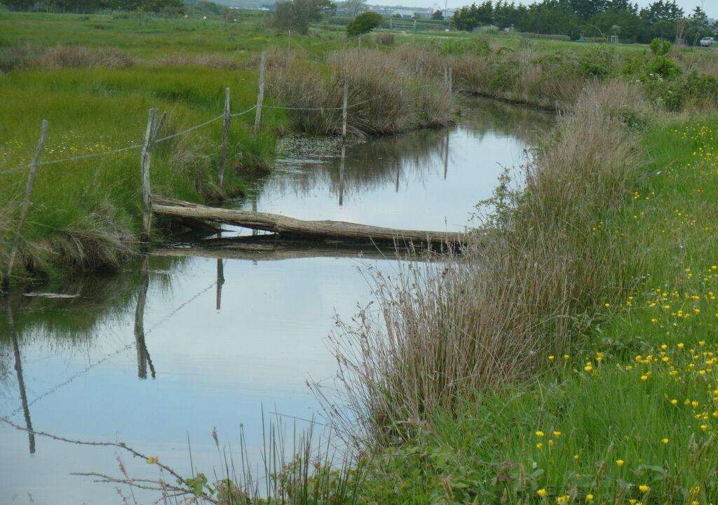 Photo of Outdoor in Jard-sur-Mer