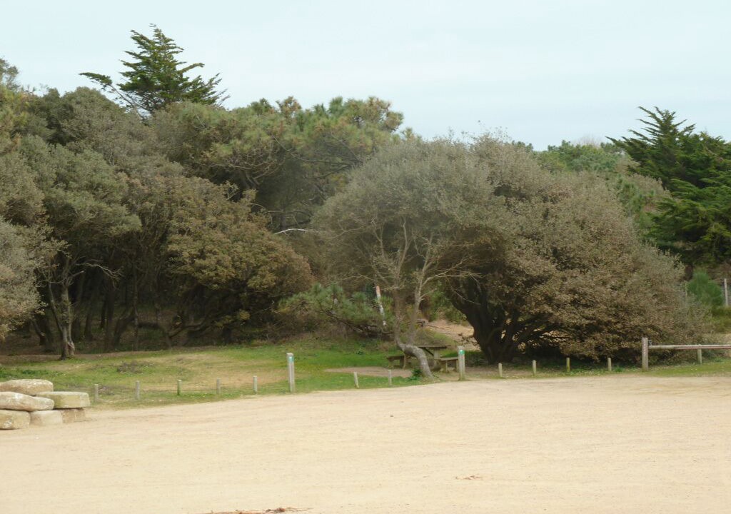 Photo of Others in Jard-sur-Mer