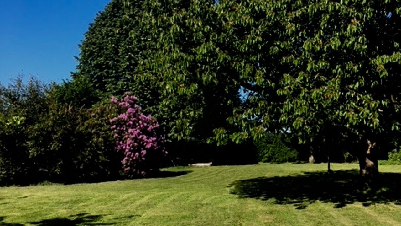 Photo of Others in Le Mesnil-Durdent