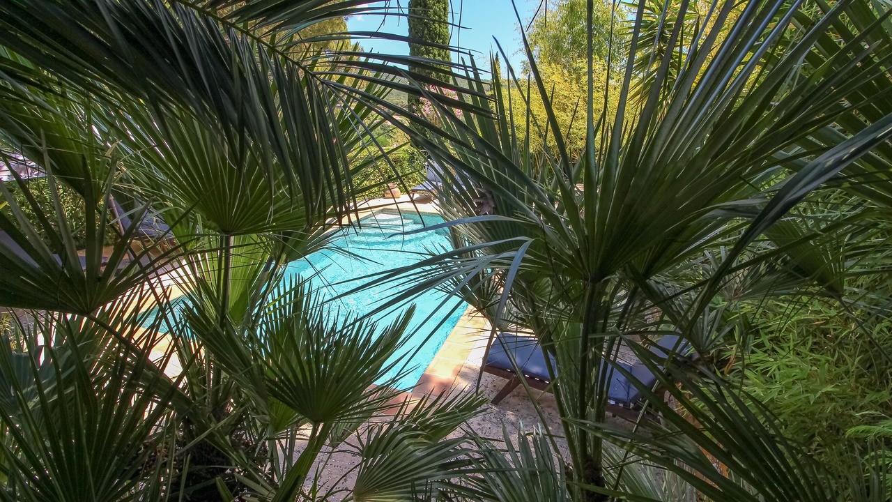 Photo of Outdoor in Gassin