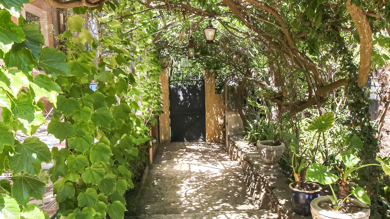 Photo of Outdoor in Gassin