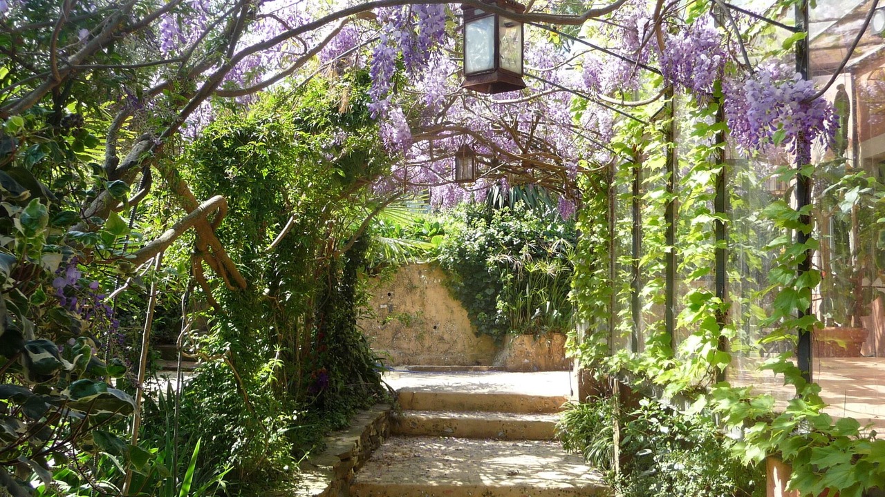 Photo of Outdoor in Gassin