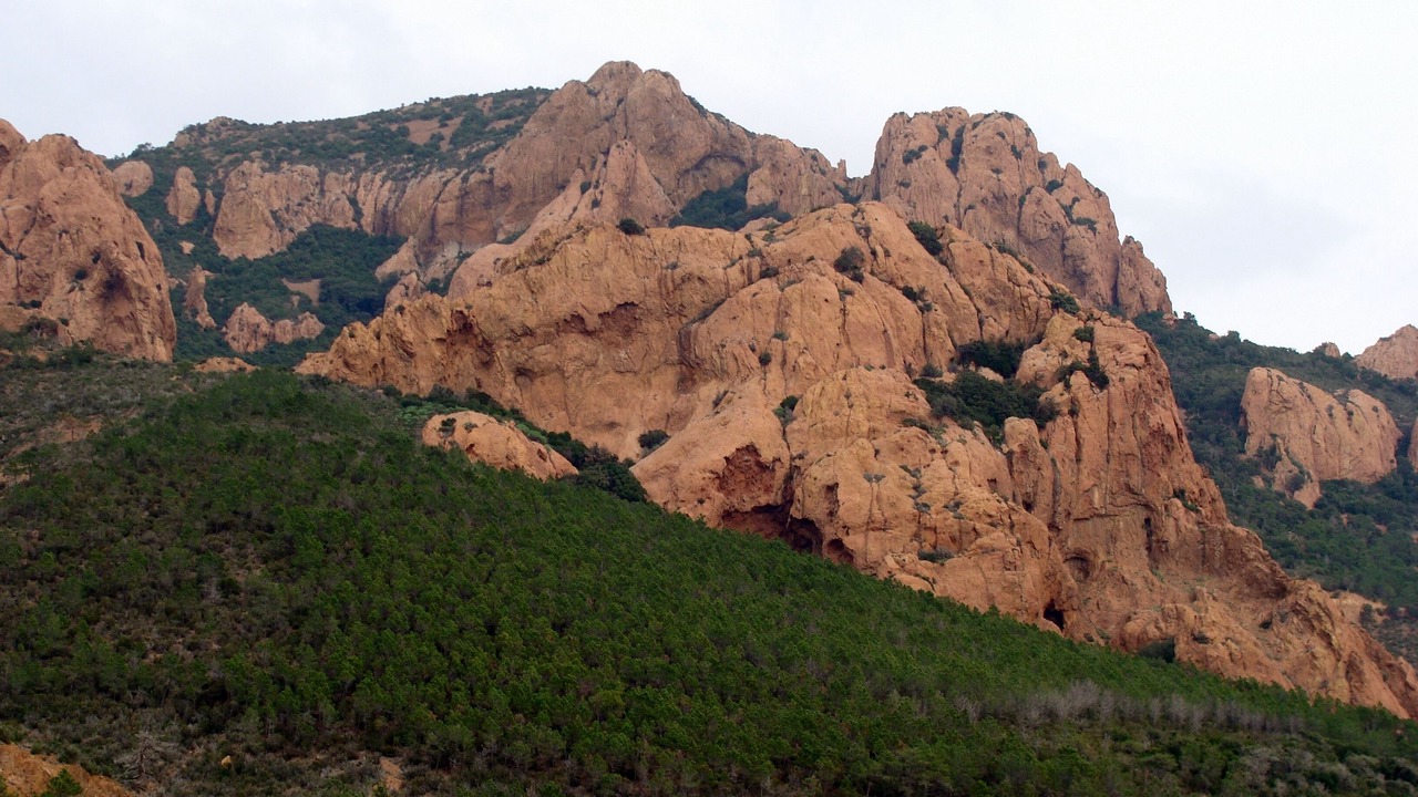 Photo of Outdoor in Le Rouret