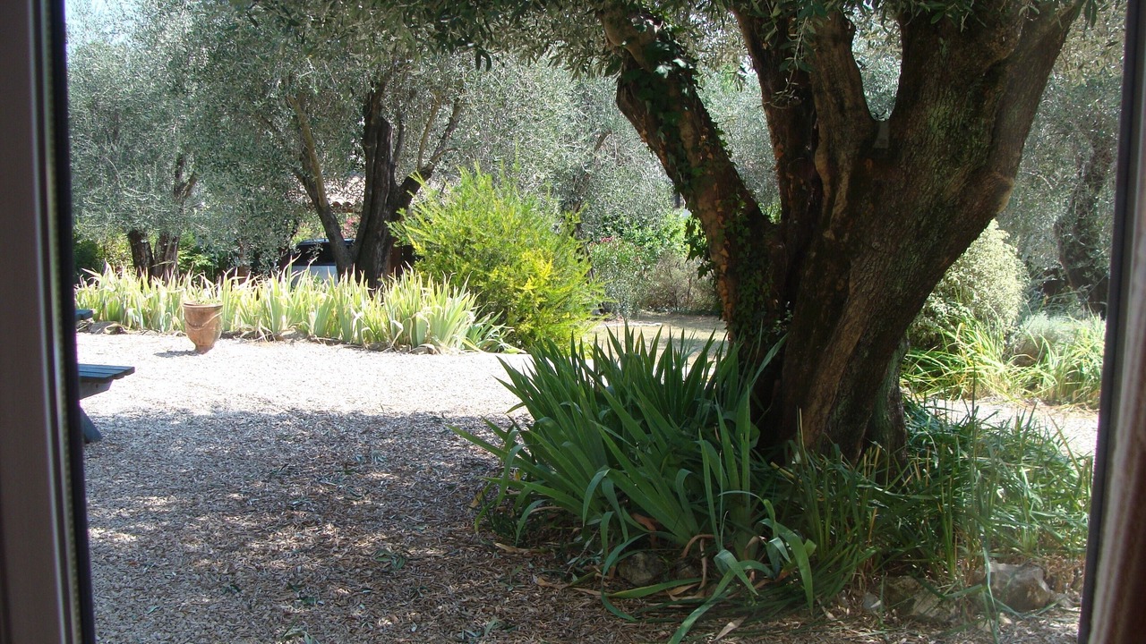 Photo of Others in Le Rouret