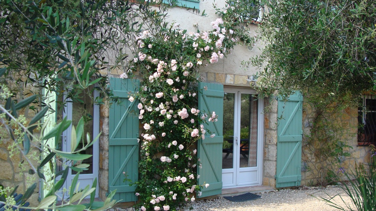 Photo of Outdoor in Le Rouret