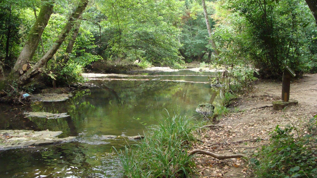 Photo of Outdoor in Le Rouret