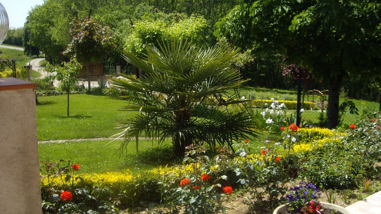 Photo of Outdoor in Puycornet