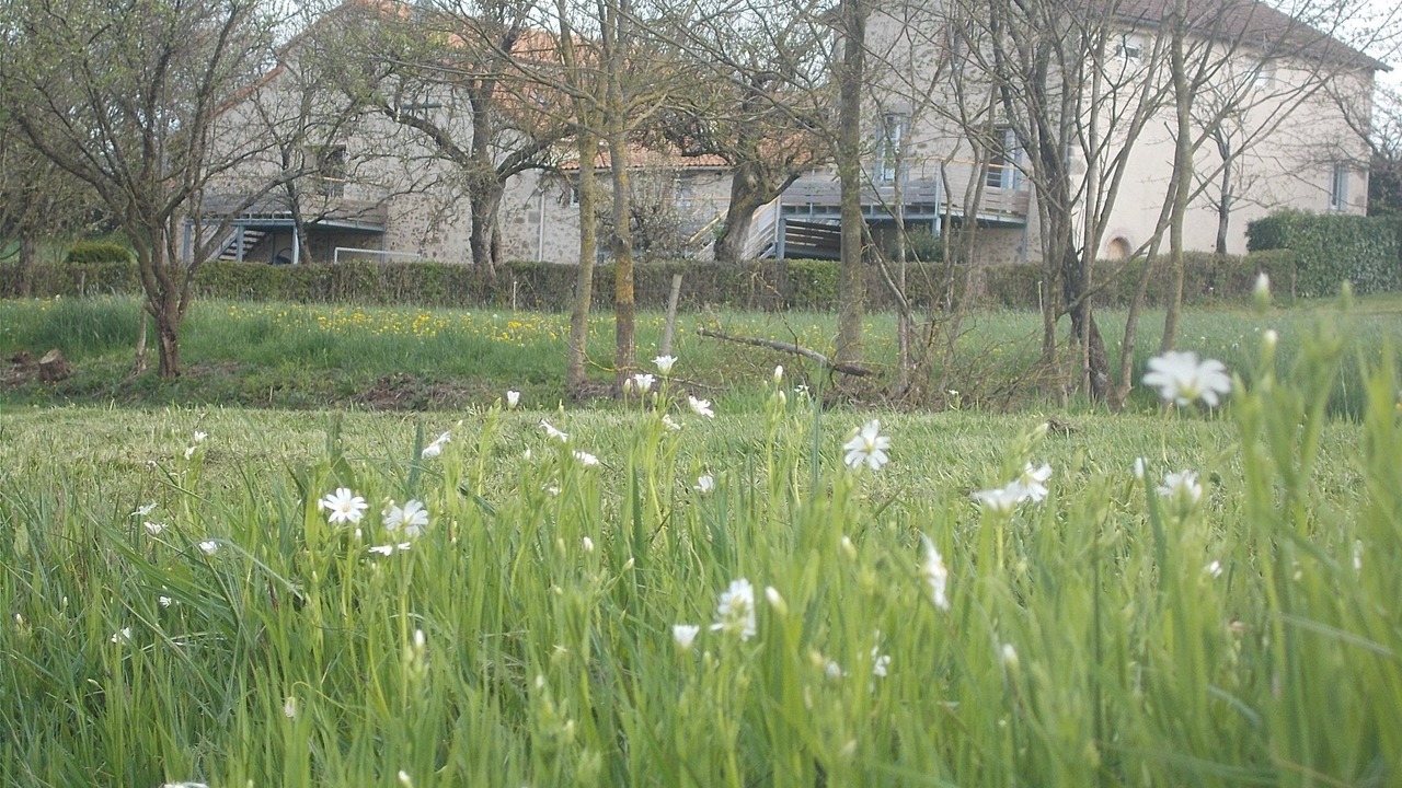 Photo of Outdoor in Cirieres
