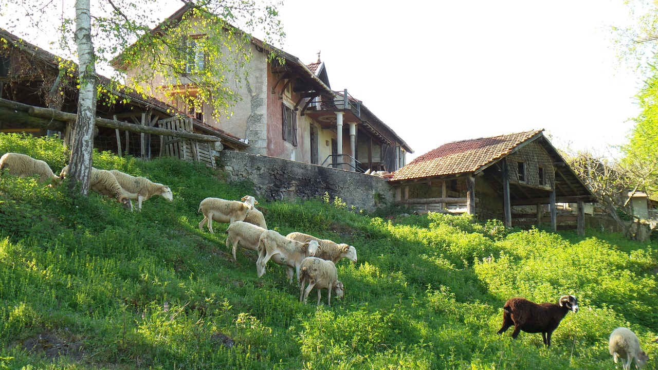 Photo of Outdoor in Izaut-de-l'Hotel