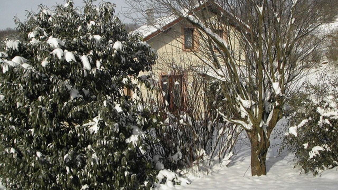 Photo of Outdoor in Fraize