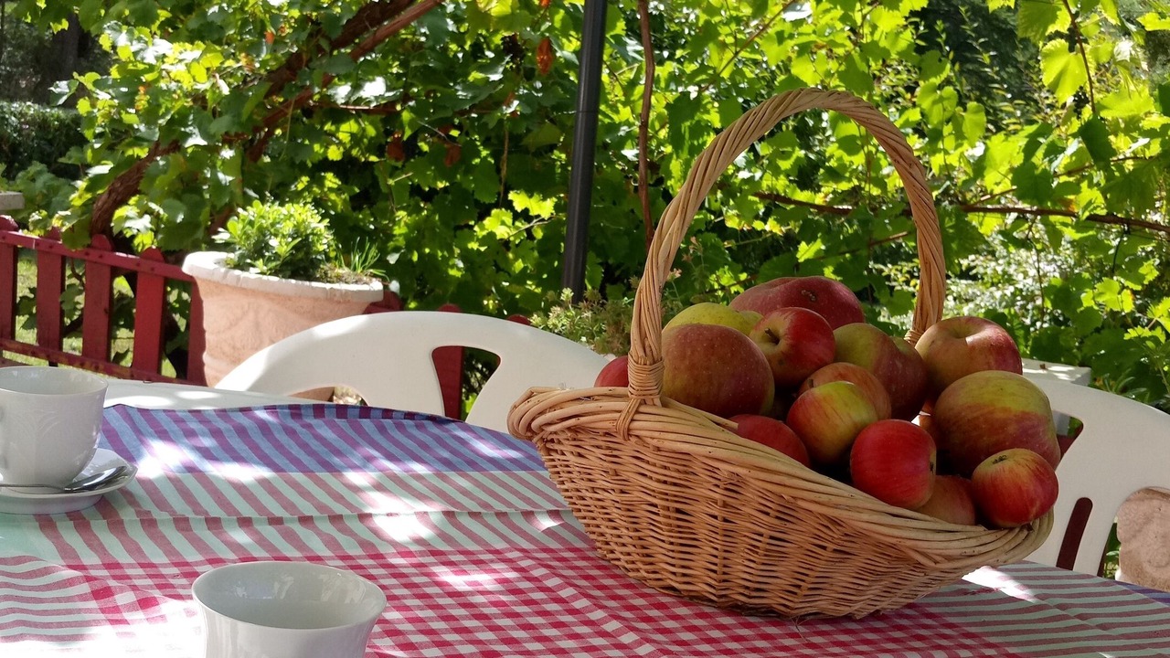 Photo of Others in Aiguillon