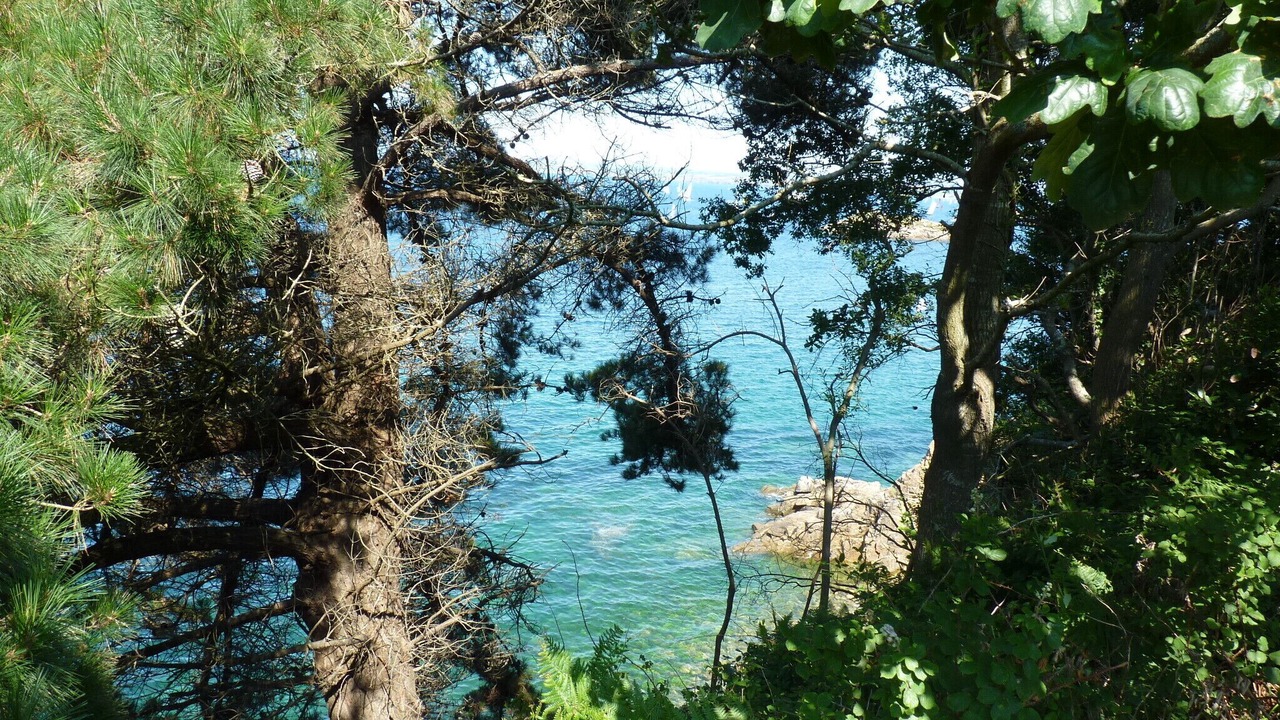 Photo of Others in Treboul