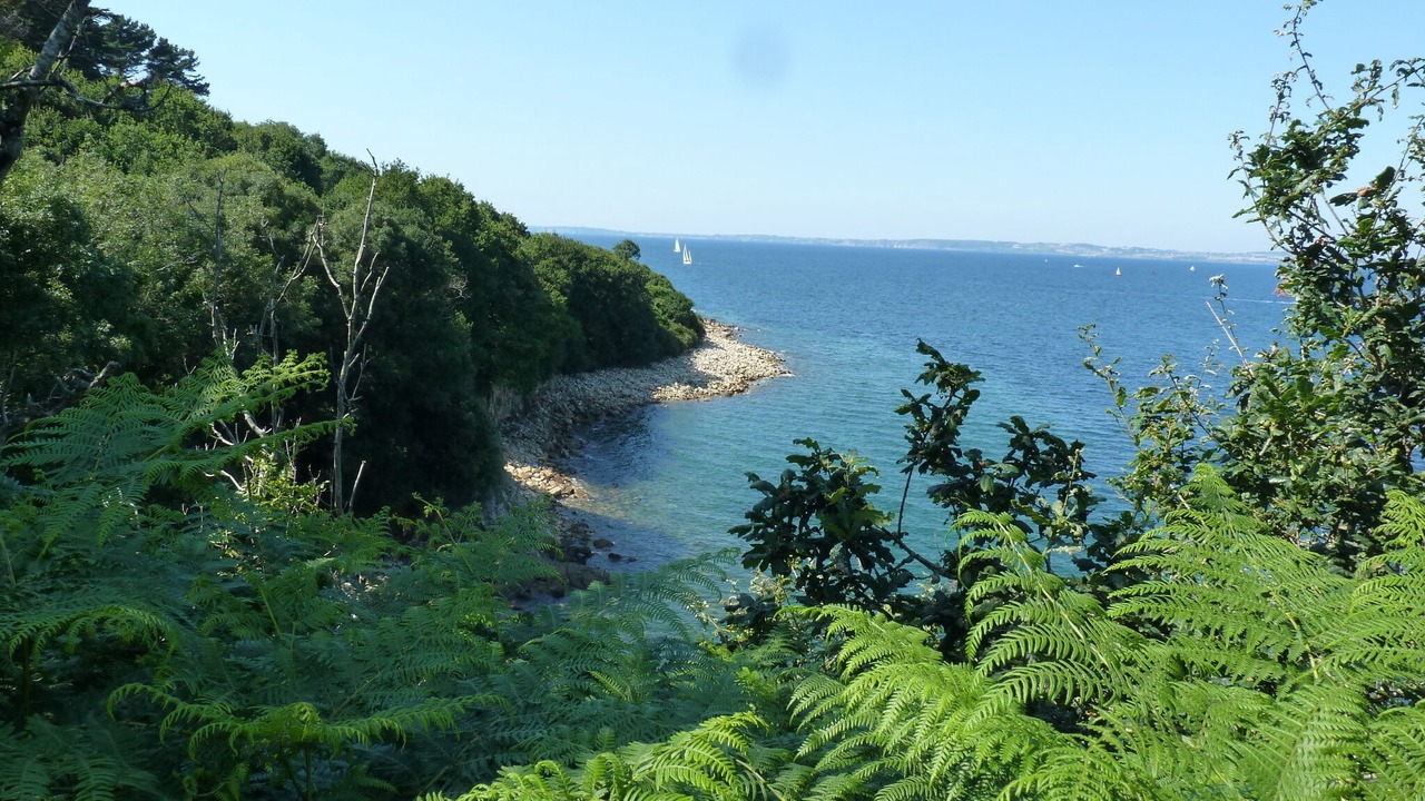 Photo of Others in Treboul