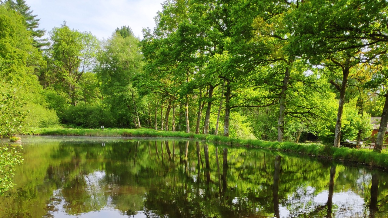 Photo of Outdoor in Moux-en-Morvan