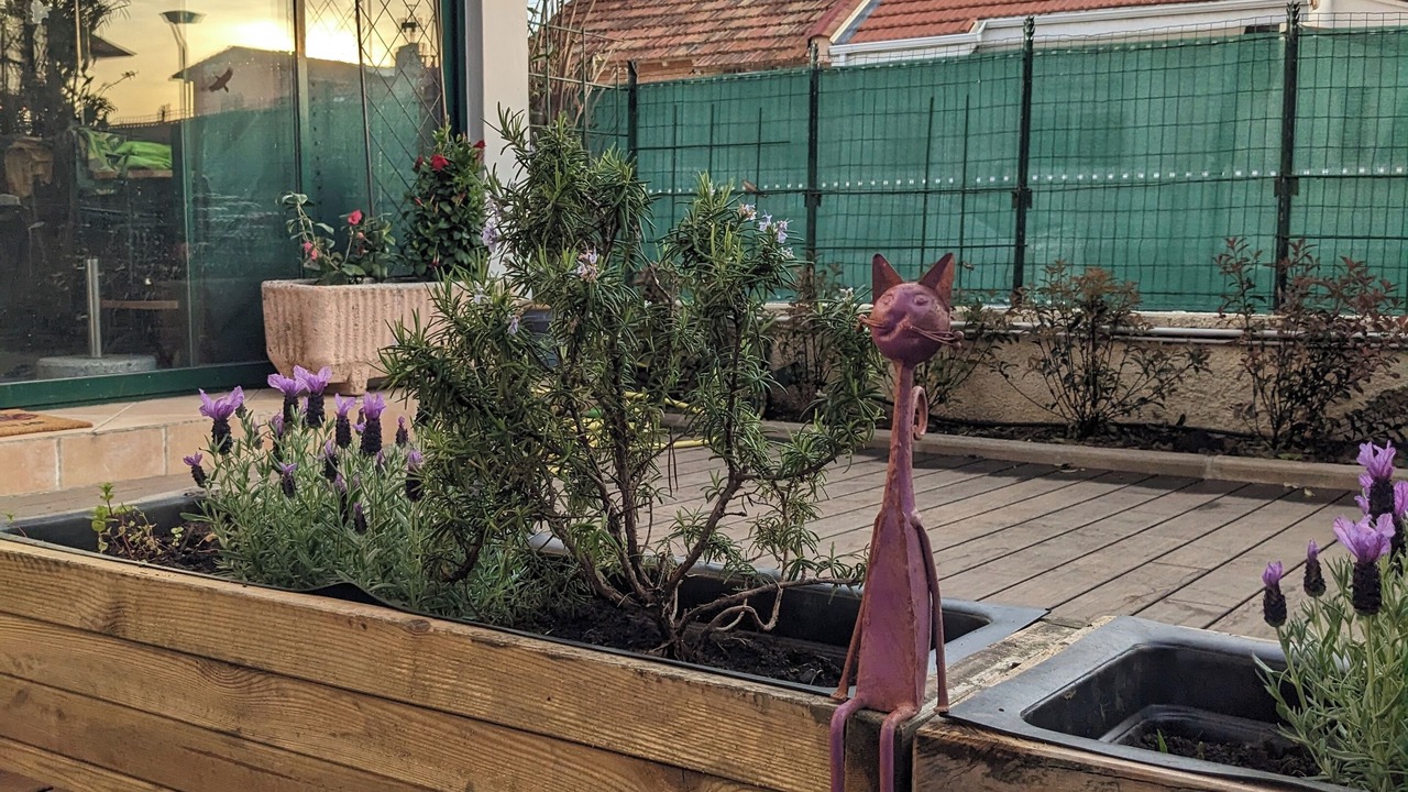 Photo of Outdoor in Saint-Cyprien Plage