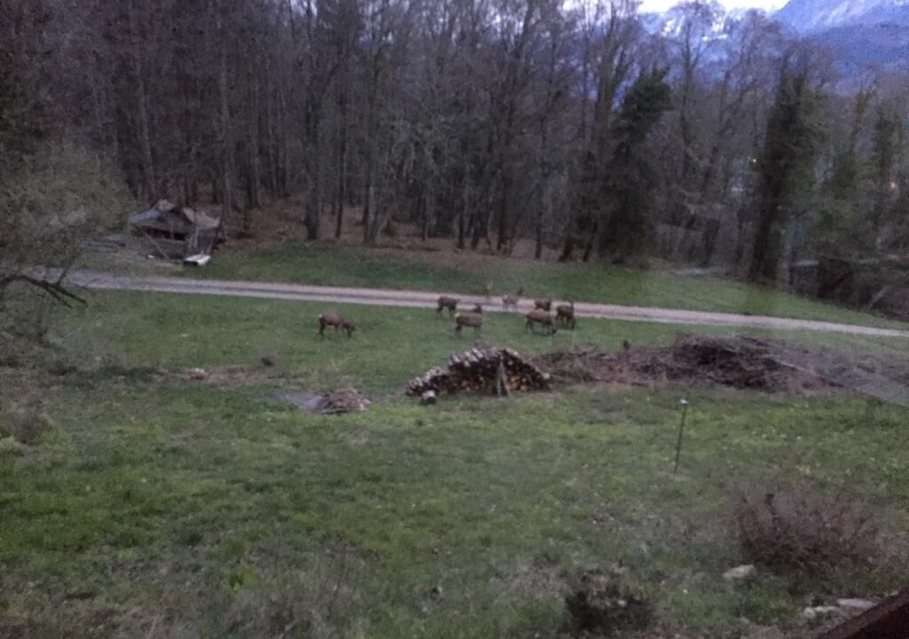 Photo of Outdoor in Marignier