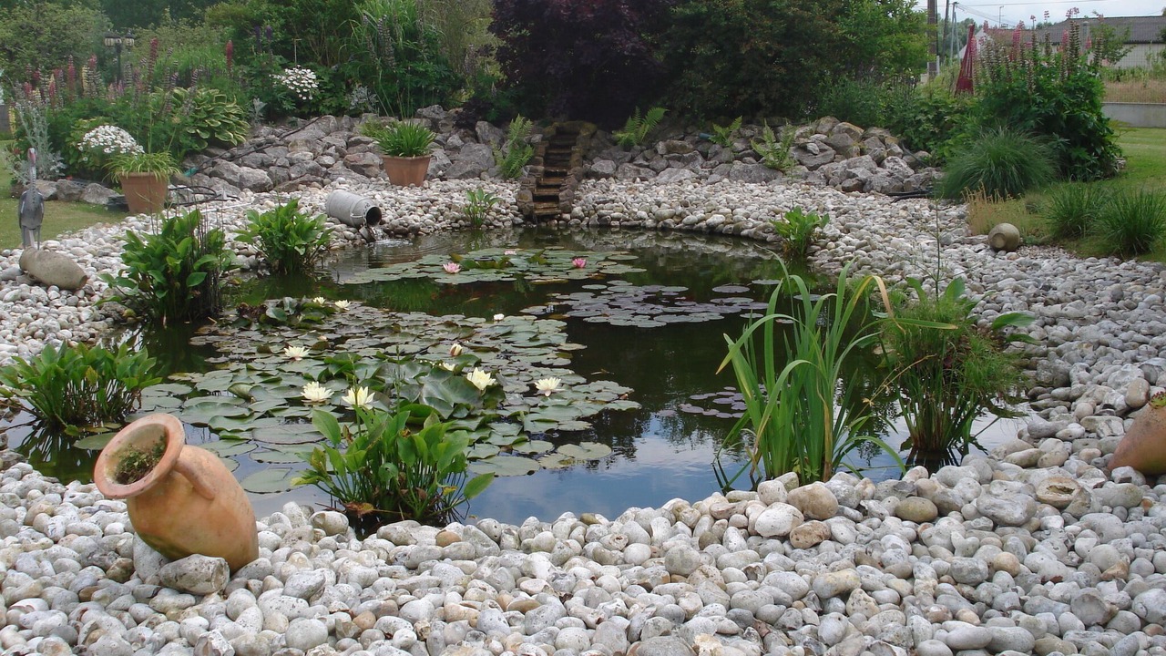 Photo of Outdoor in Quend