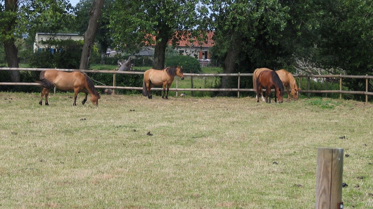 Photo of Outdoor in Quend