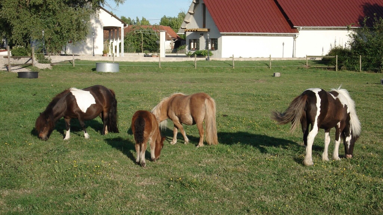 Photo of Outdoor in Quend