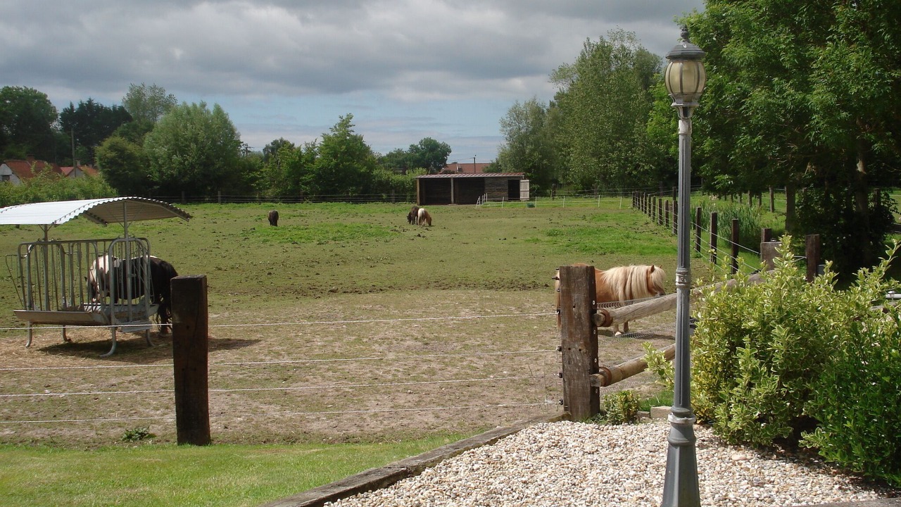 Photo of Outdoor in Quend