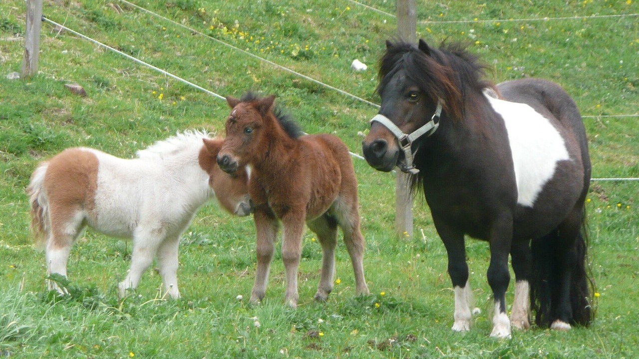 Photo of Others in Quend