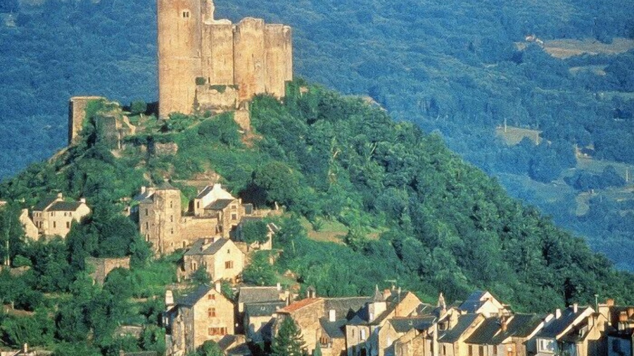 Photo of Others in La Salvetat-Peyrales