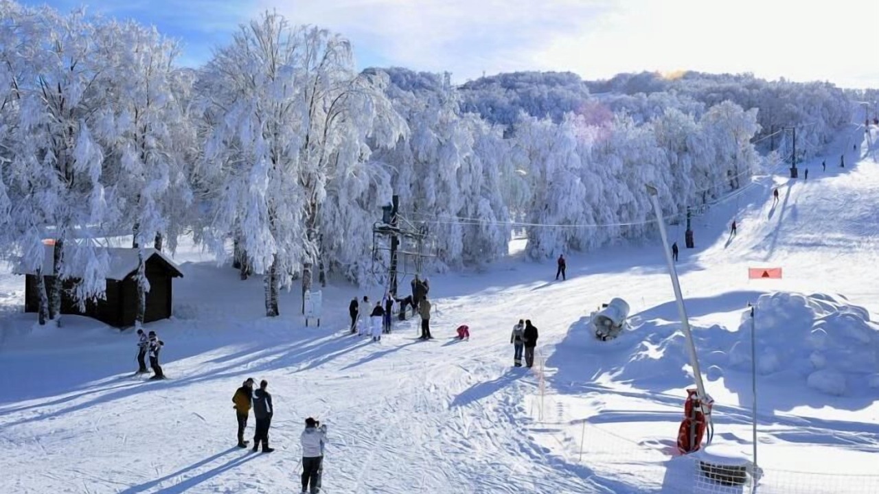 Photo of Others in La Salvetat-Peyrales