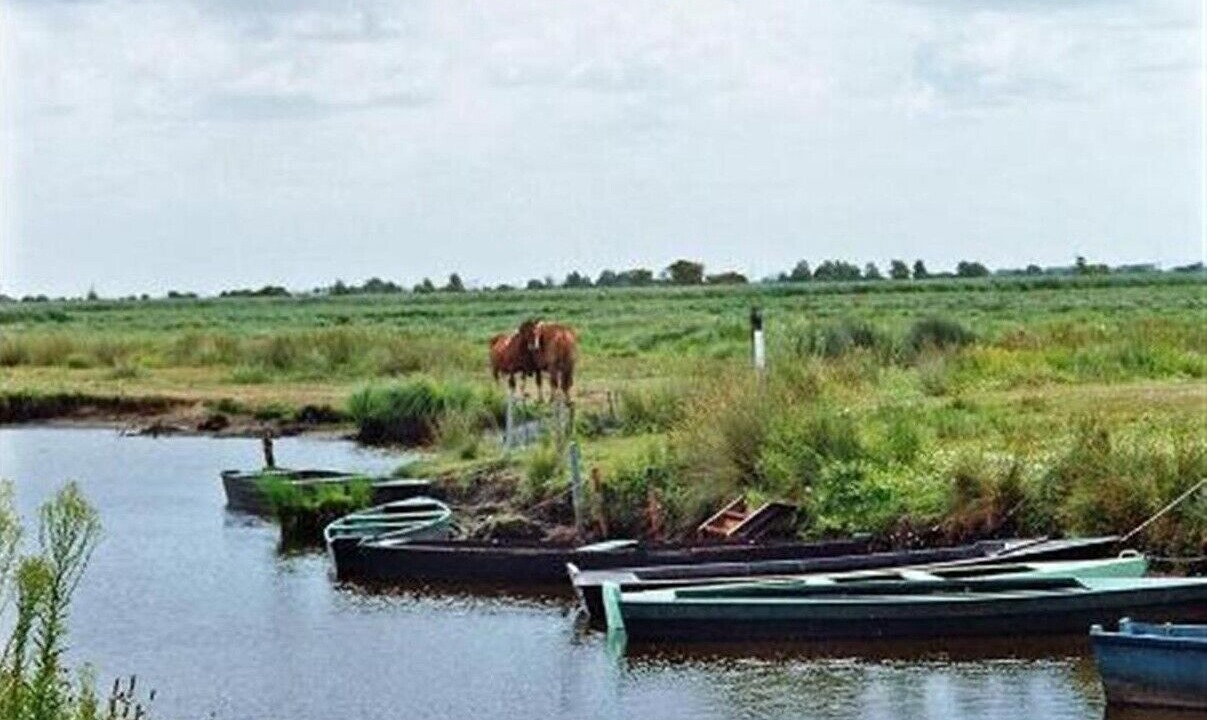 Photo of Outdoor in Guerande