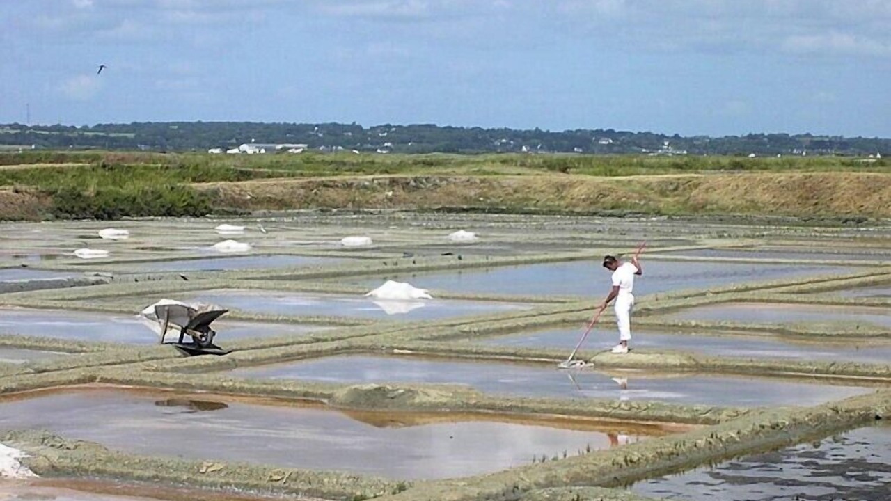 Photo of Others in Guerande