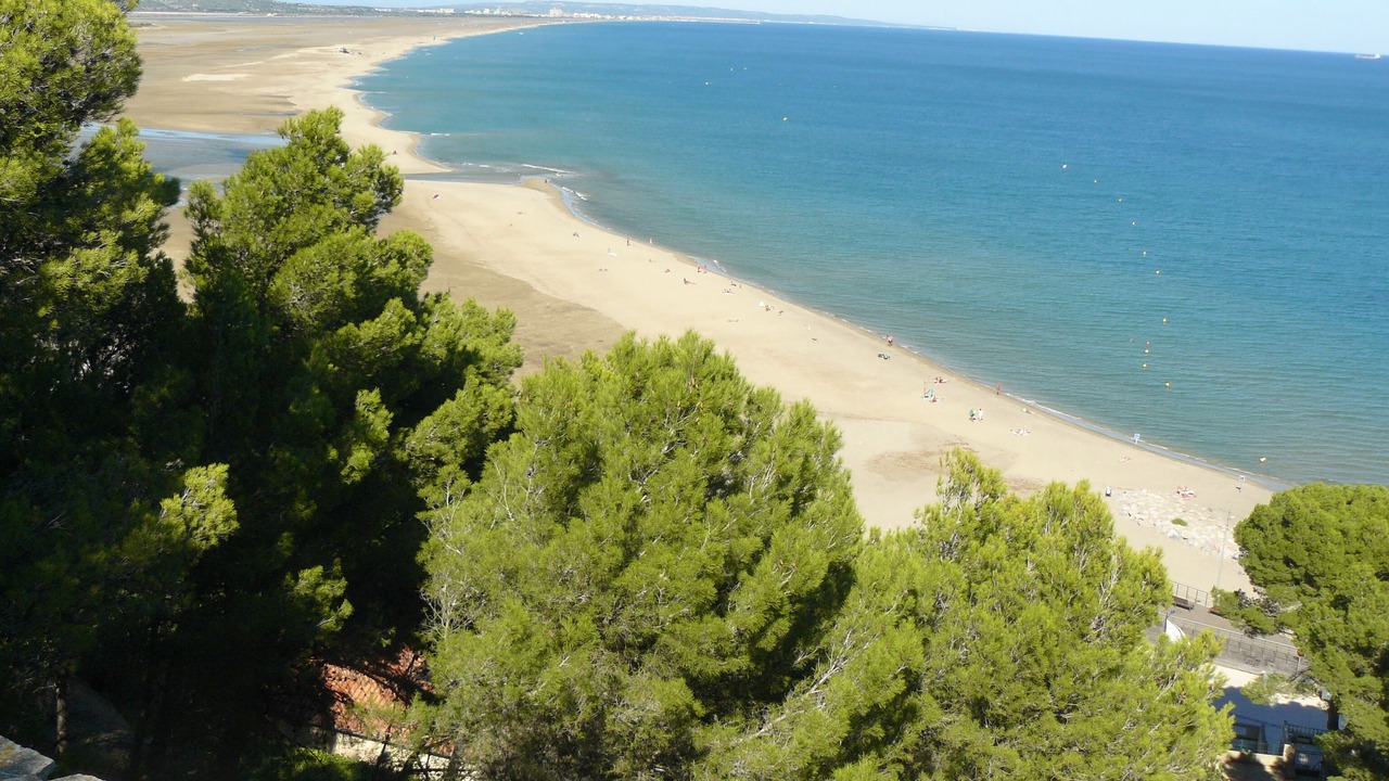 Photo of Others in La Palme