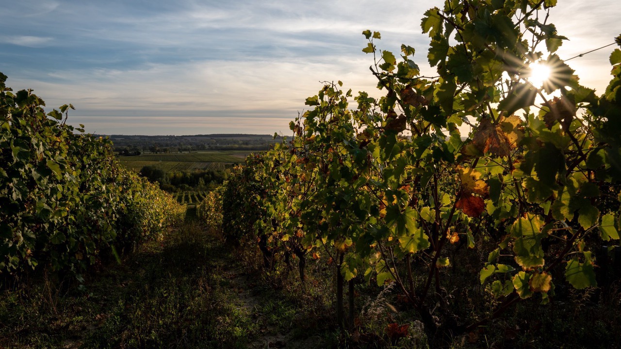 Photo of Outdoor in Avon-les-Roches