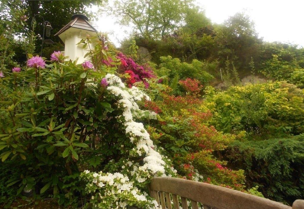 Photo of Outdoor in Rhyd Ddu