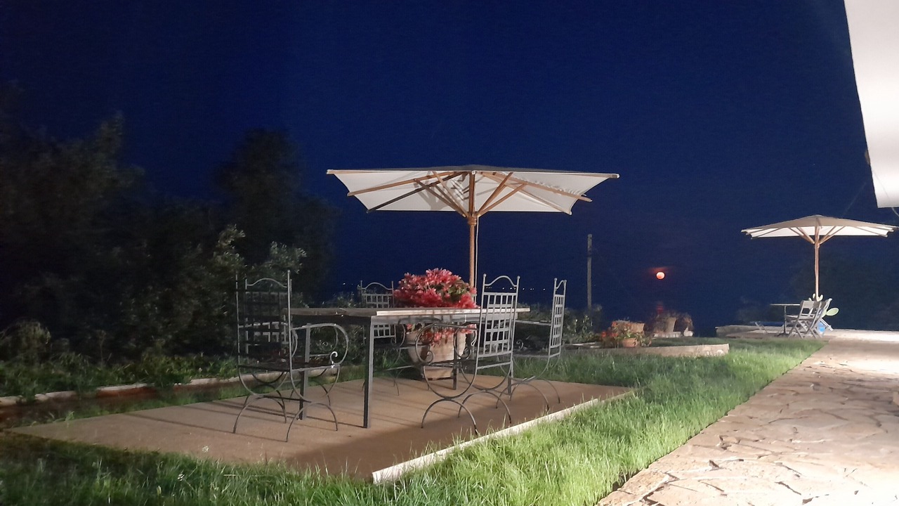 Photo of Outdoor in Dafnata