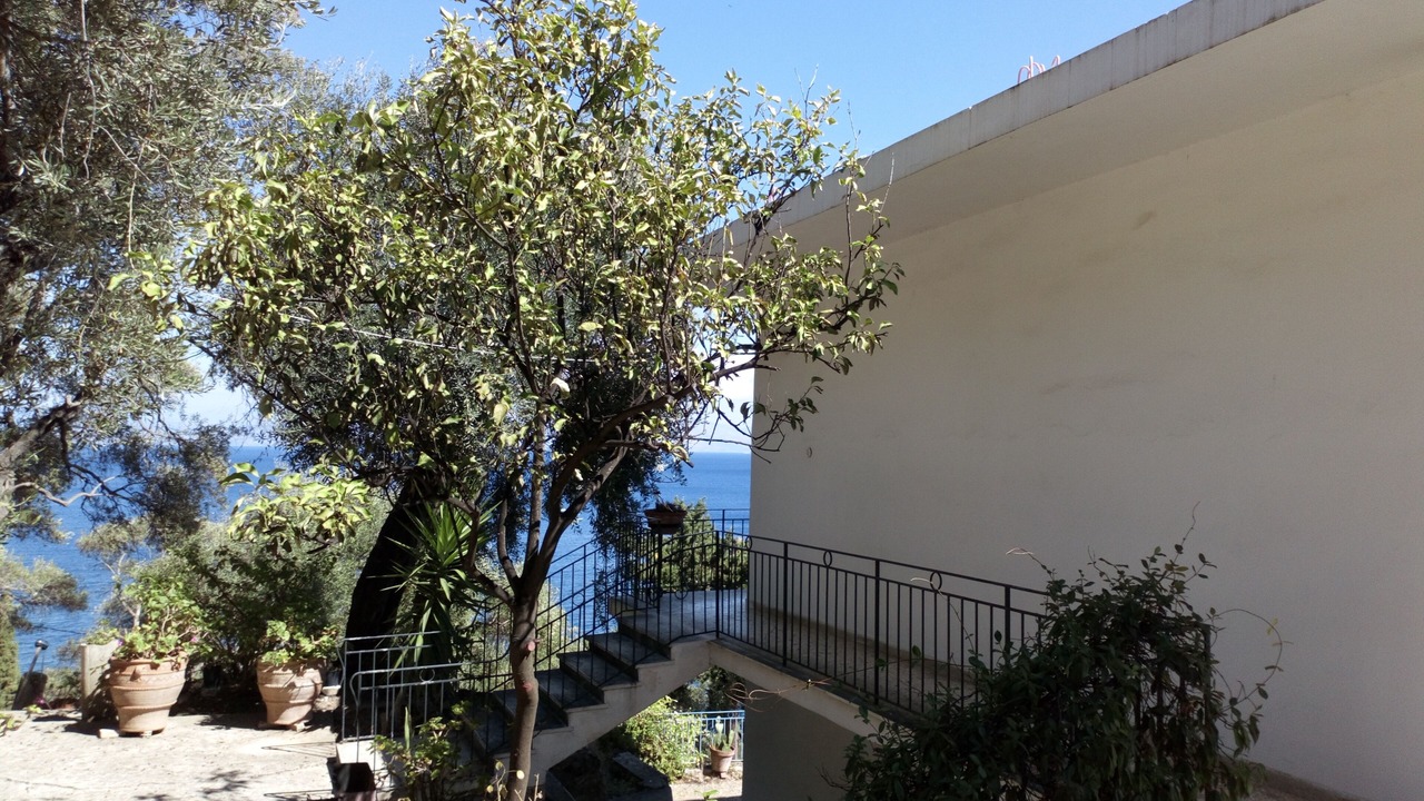 Photo of Others in Dafnata