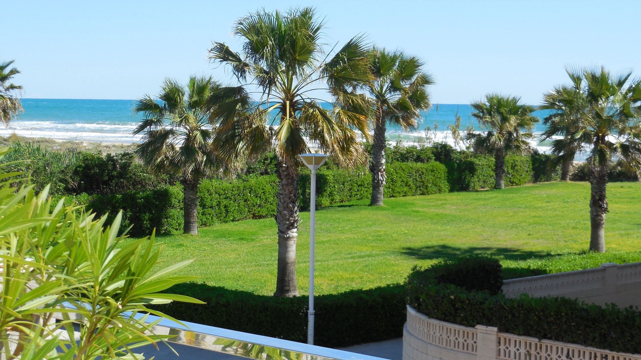 Photo of Outdoor in Guardamar de la Safor