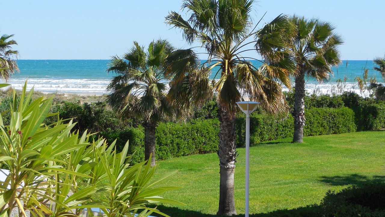 Photo of Outdoor in Guardamar de la Safor