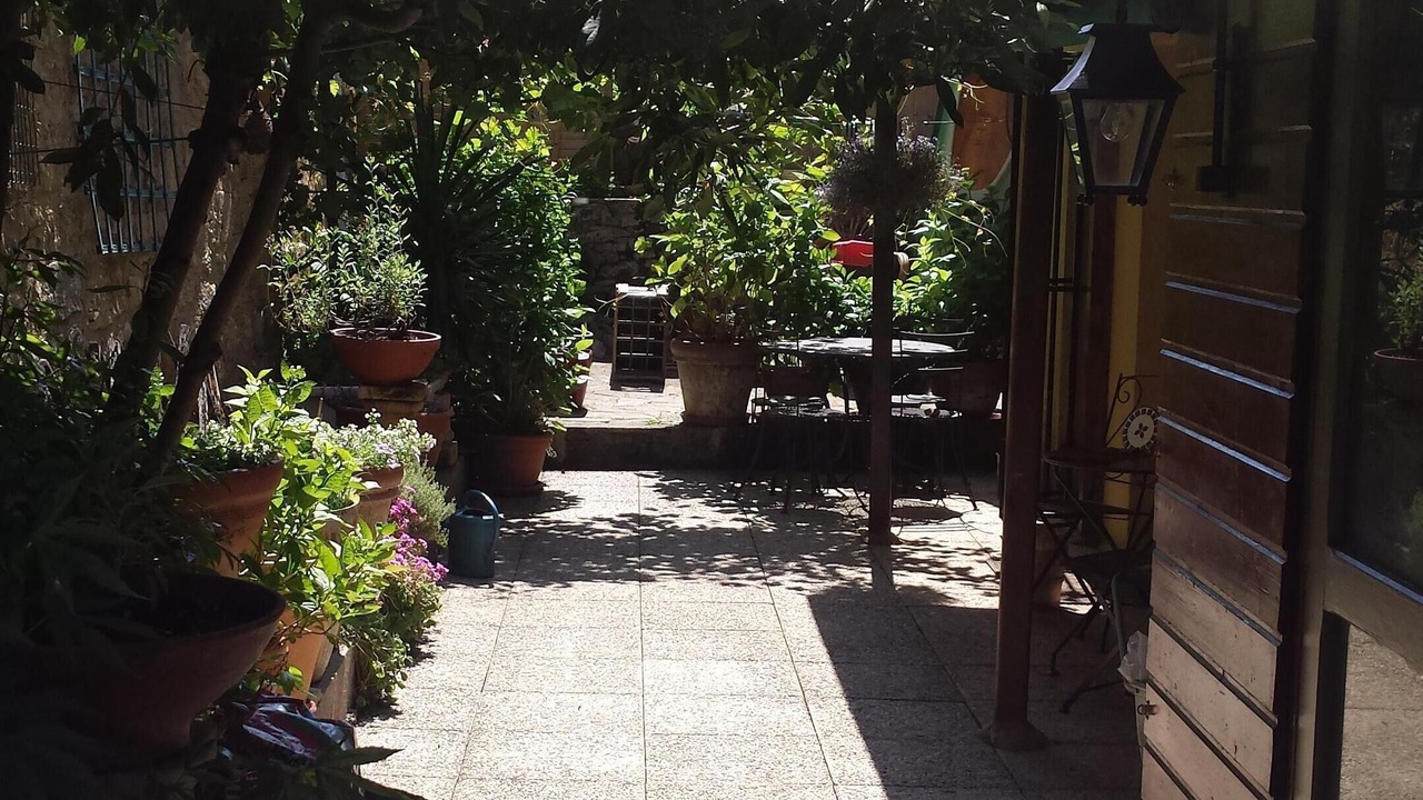 Photo of Outdoor in La Roque-Gageac