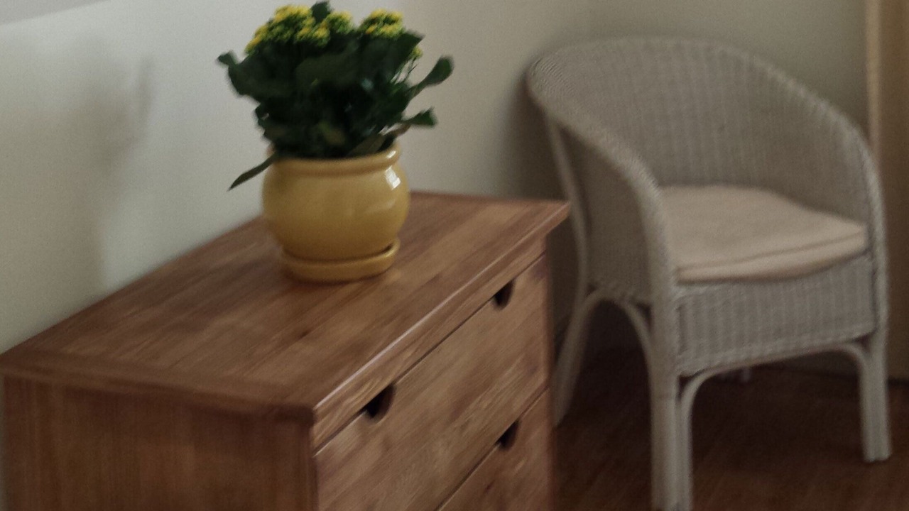 Photo of Others in La Roque-Gageac