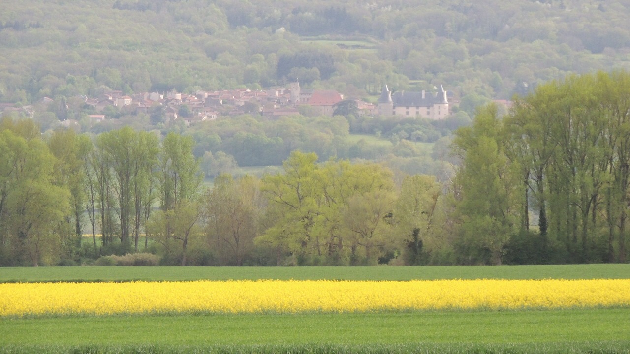 Photo of Others in Villeneuve