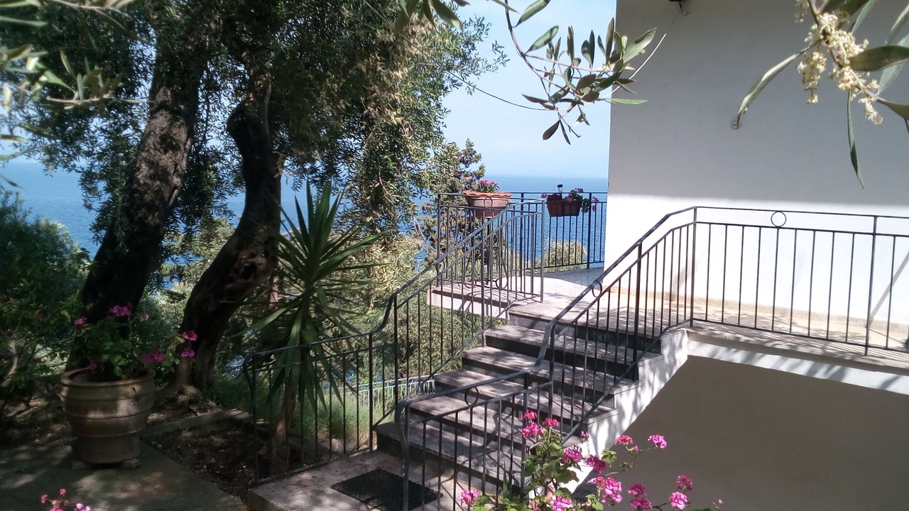 Photo of Others in Dafnata