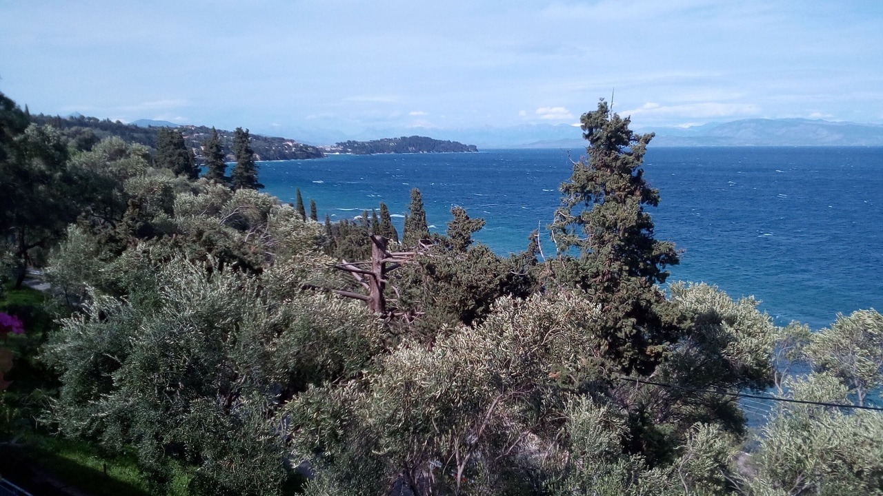 Photo of Others in Dafnata