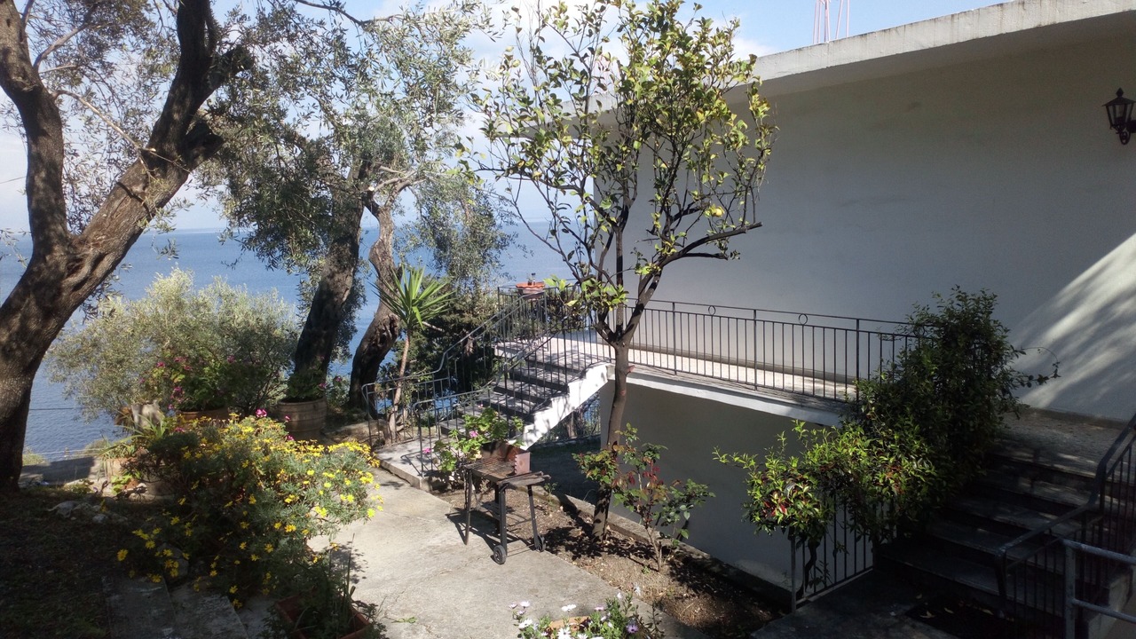 Photo of Others in Dafnata