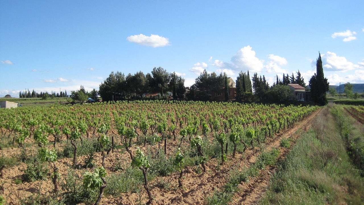 Photo of Outdoor in Montseret