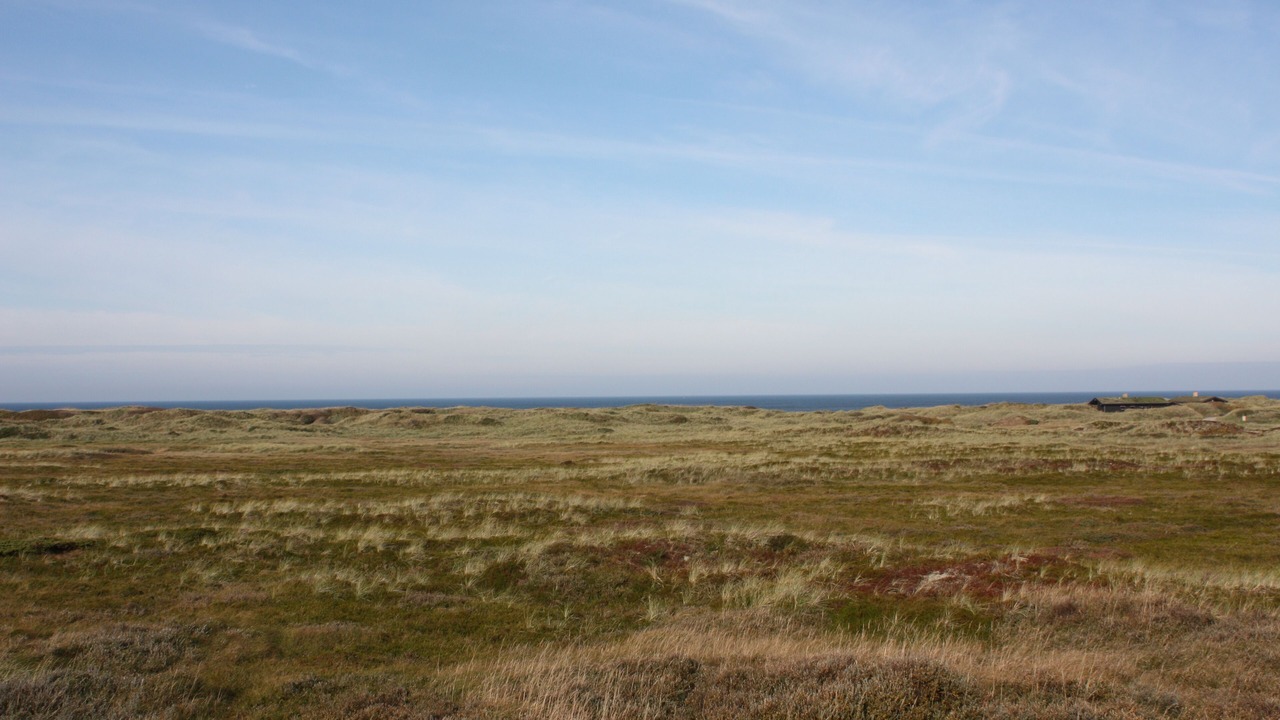 Photo of Others in Rødhus